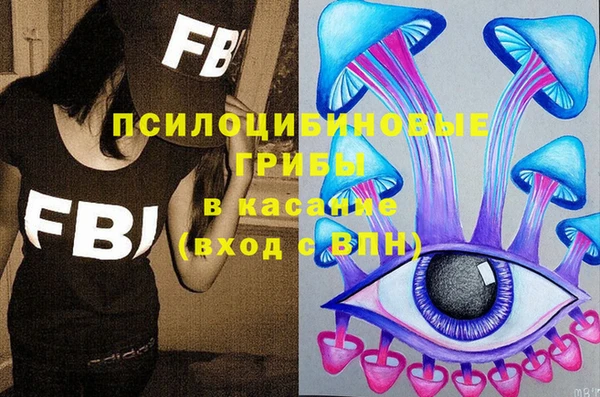 PSILOCYBIN Валдай