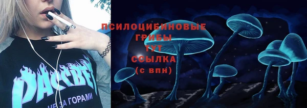 PSILOCYBIN Валдай