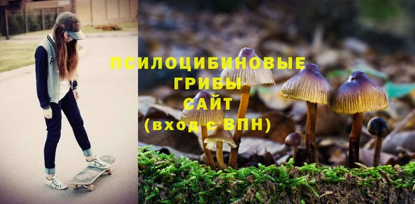 соль курить ск Лиски