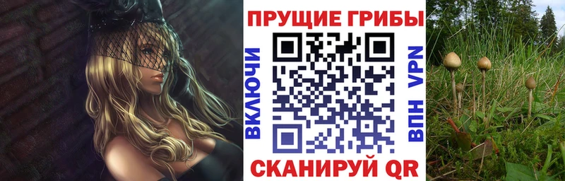 Купить  Кузнецк  Галлюциногенные грибы прущие грибы 